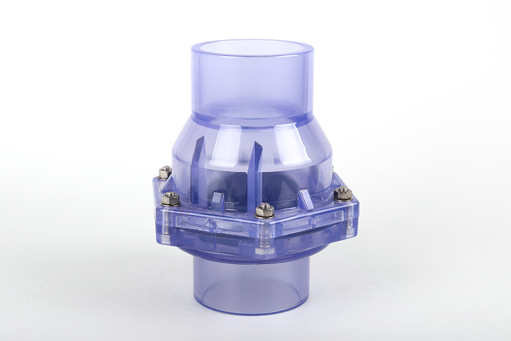 休宁透明翻板式止回阀